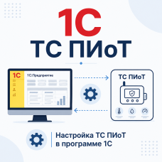 Настройка ТС ПИоТ (1с)